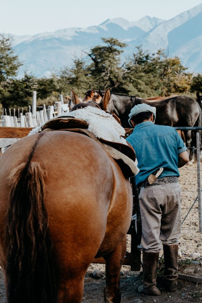A man stands with his back to the camera in a blue shirt and beret with a brown horse to his left