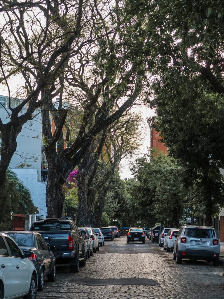 A car drives down cobblestone street under a canopy of green trees