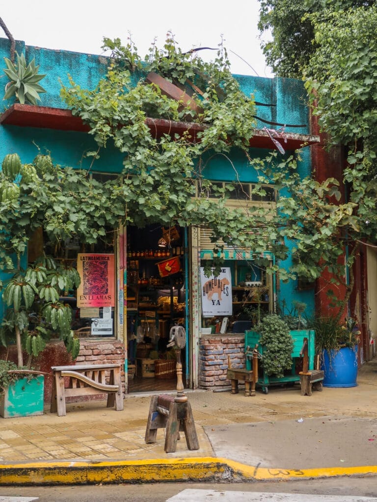 A teal storefront with ivy growing over the entire buildng