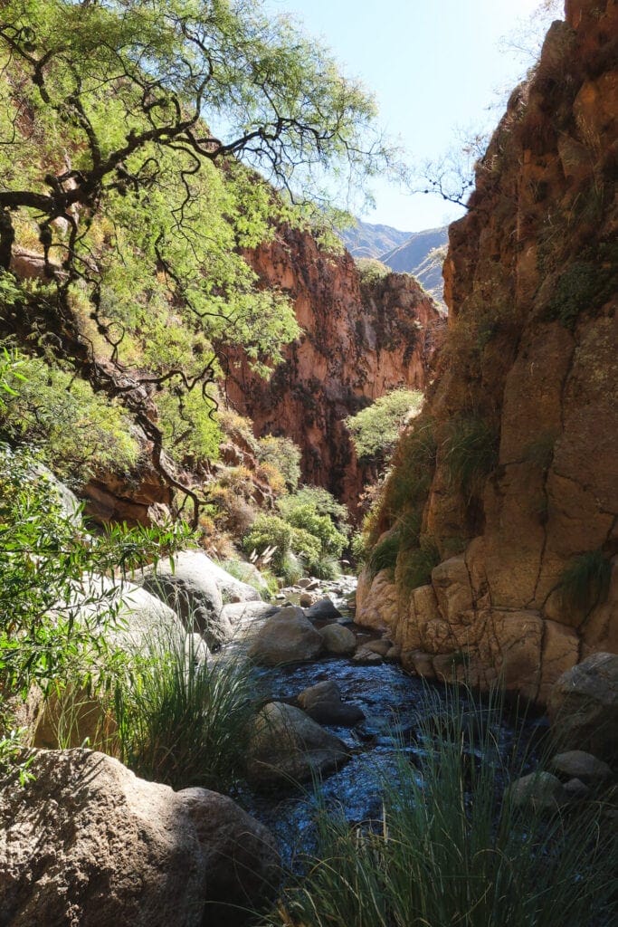 A river flows in a rocky canyon