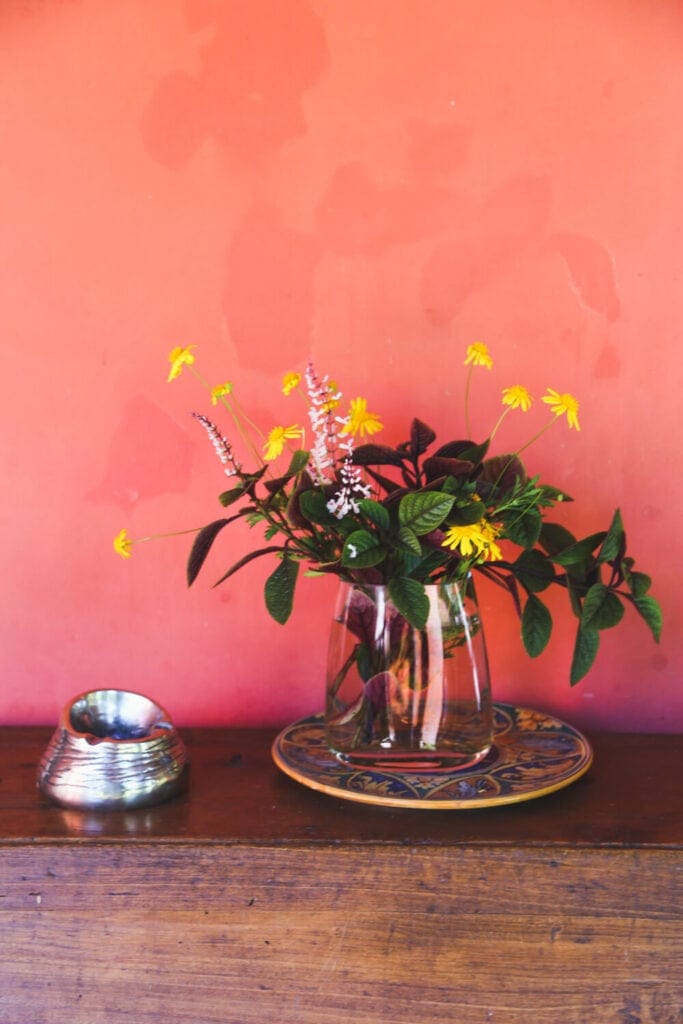 A pitcher of yellow flowers in front of a terracotta wall