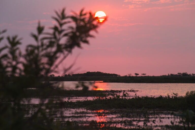 A pink sky as the sunsets over a lake