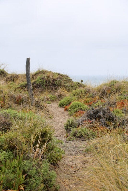 A trail leads to the ocean