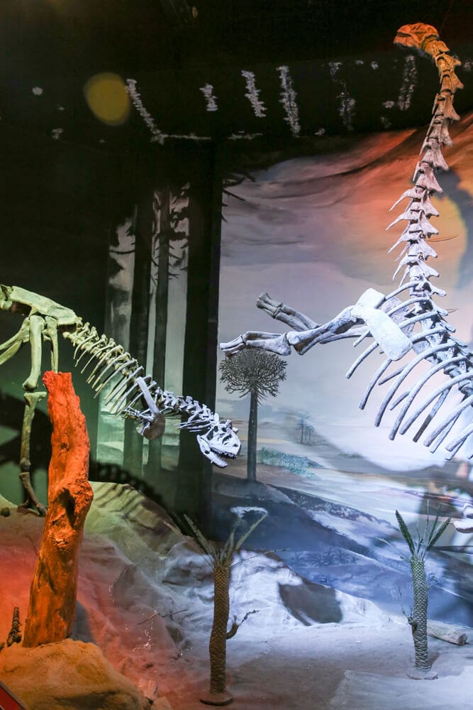 Statues of dinosaur fossils in a museum