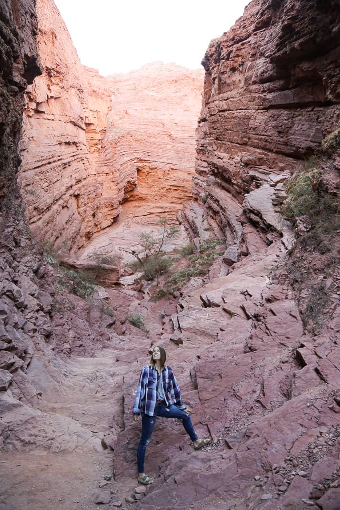 A woman stands on a red canyon cliff