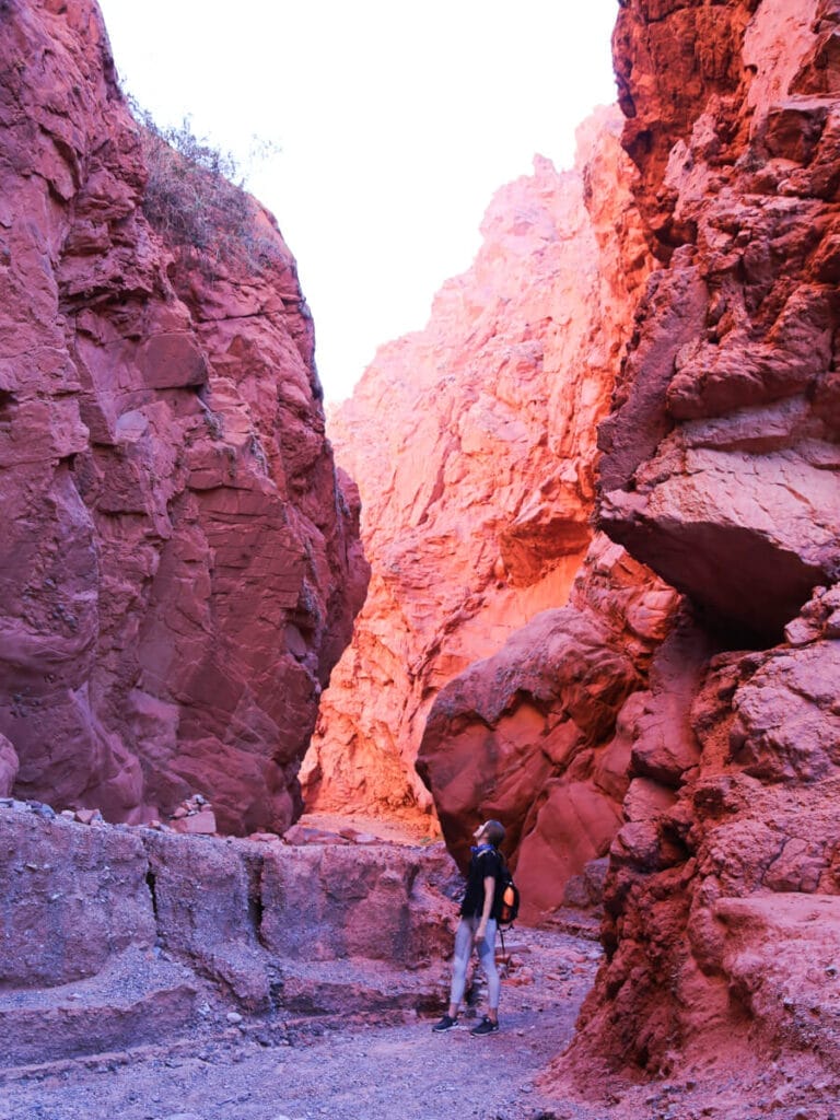A woman stands in a red canyon looking up