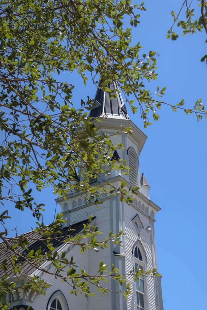 A white church behind the branch of an oak tree