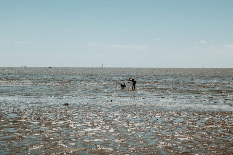 A woman plays with her dog in the river