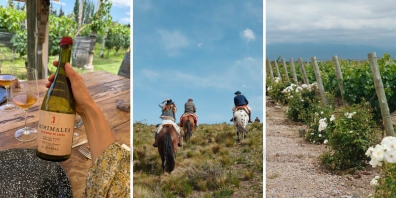 things to do in Mendoza banner