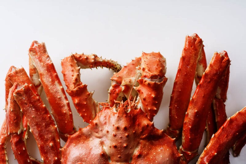 A king crab against a white background