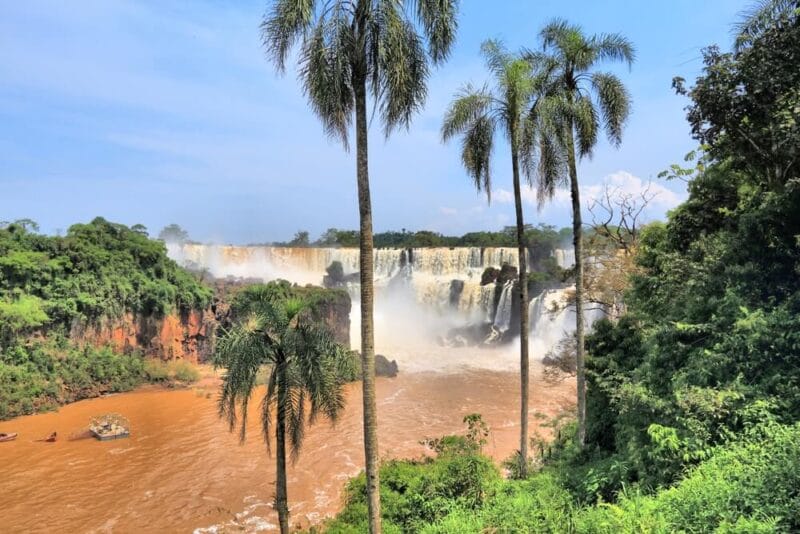 Palm trees tower over the brown water at Iguazu Falls