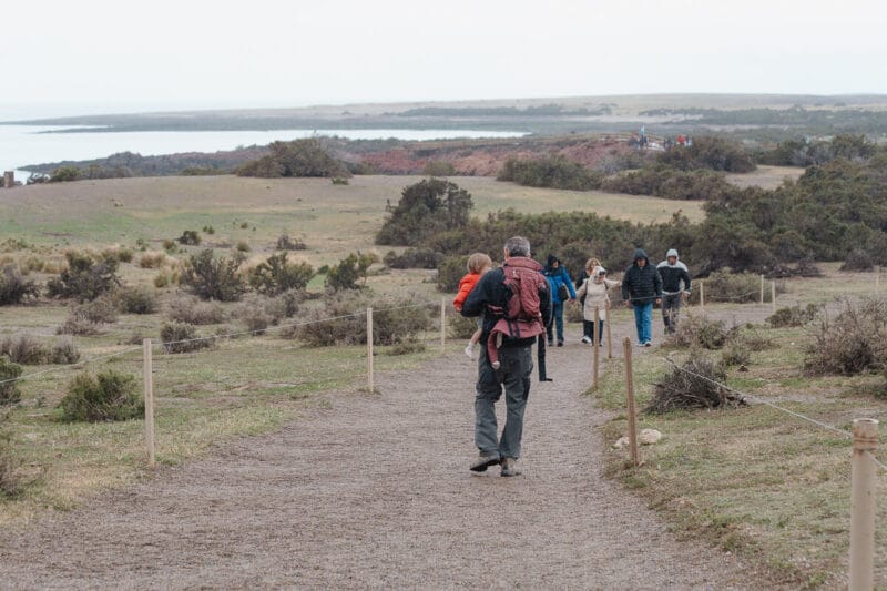 A man carries a toddler along the path of Punta Tombo penguin colony