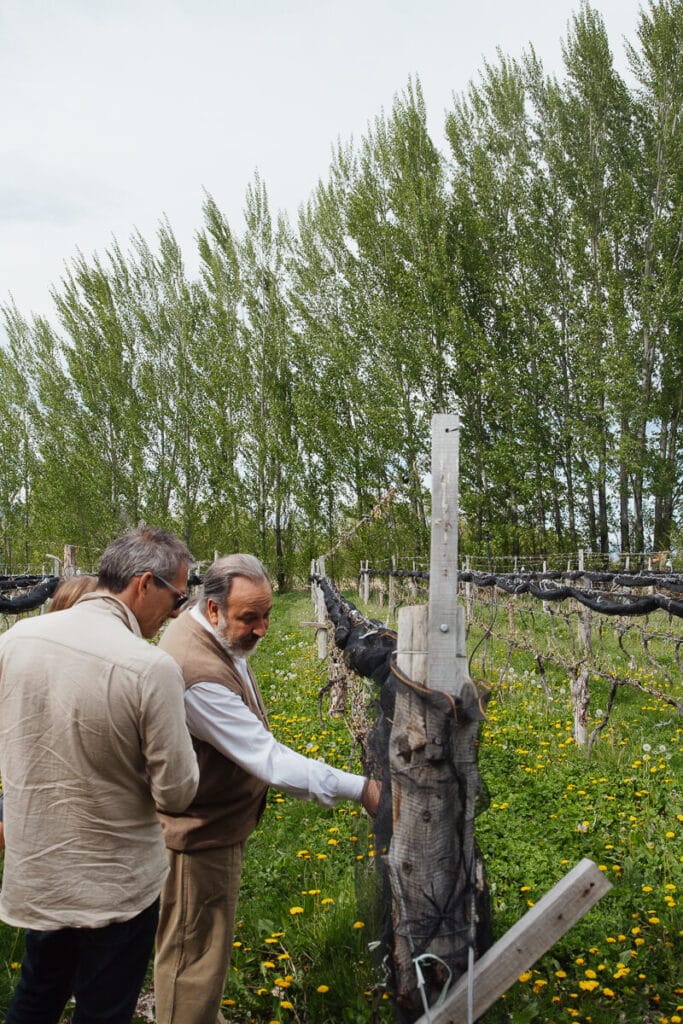 Two men admire the vines at a winery in Patagonia in Gualjaina