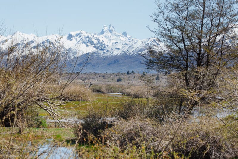 Snow covered mountains in the background of a watery marsh