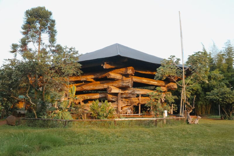 A structure made of fallen tree trunks in the Iguazu Falls jungle