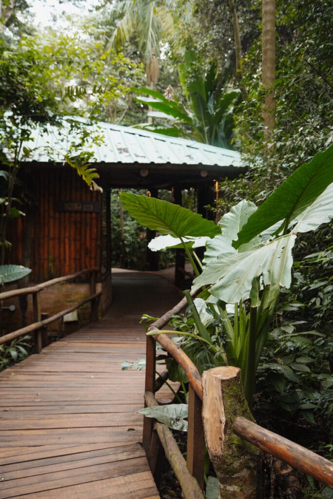 A wooden path weaves through the green jungle at one of the best hotels in Iguazu Falls