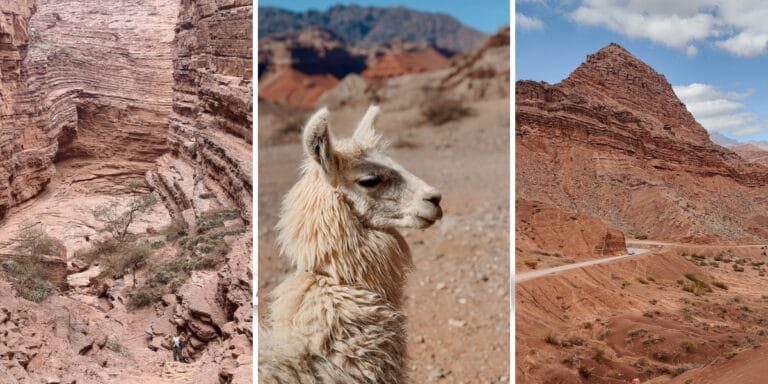 Quebrada de las Conchas: The Most Beautiful Drive in Salta, Argentina