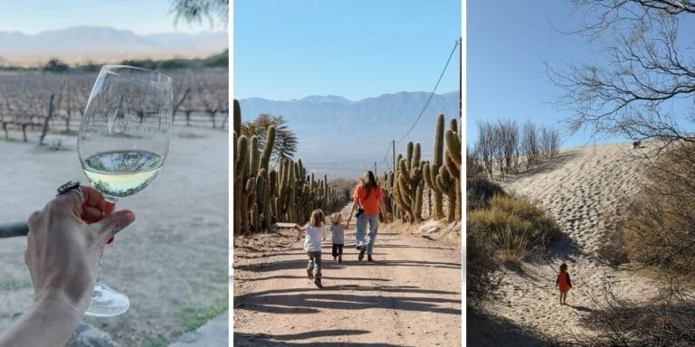 Things to do in Cafayate, Argentina