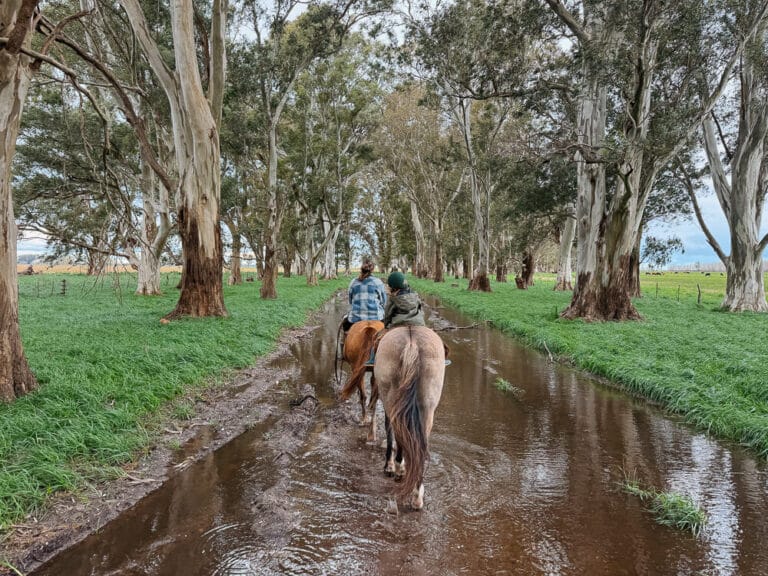 Estancia La Tomasa: An Authentic Working Ranch near Buenos Aires